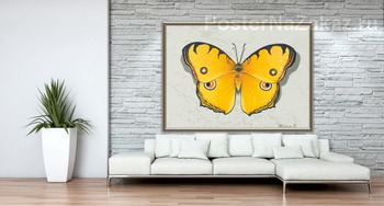 Модульная картина Бабочка
