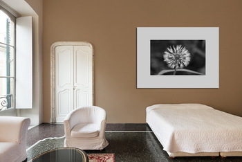 Модульная картина одуванчик