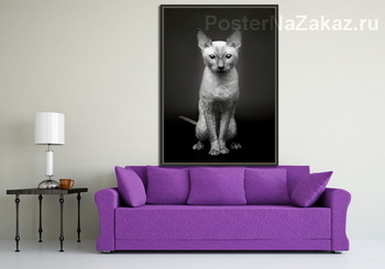 Модульная картина Портрет кошки