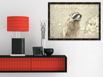 Модульная картина енот