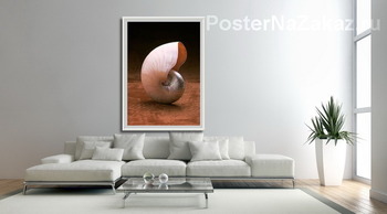 Модульная картина Shell010