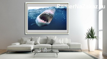 Модульная картина Shark008