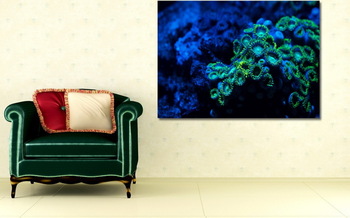 Модульная картина Водный мир 75747