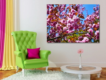 Модульная картина Розовые пушистые цветы