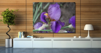 Модульная картина ирис