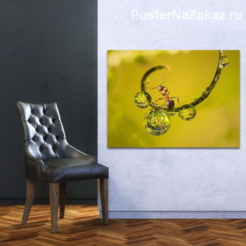 Модульная картина Муравей на веточке с каплями росы