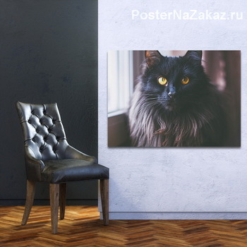Модульная картина Портрет черной кошки 