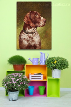 Модульная картина Голова немецкого короткошерстного пойнтера