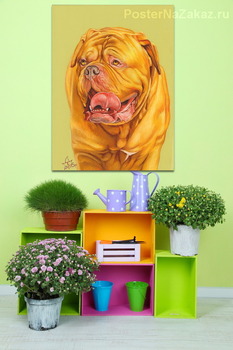 Модульная картина Бордосский дог