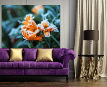 Модульная картина иней на цветах