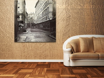 Модульная картина Улица Копытная, 1867