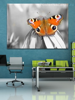 Модульная картина Бабочка