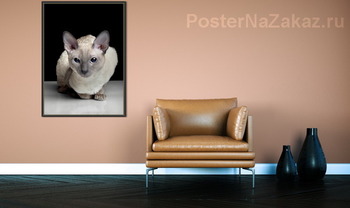 Модульная картина Портрет кошки