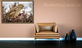Модульная картина Воробушек