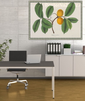 Модульная картина Восточно-индийские растения 