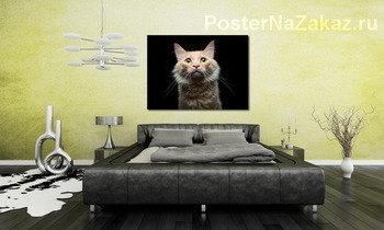 Модульная картина Портрет дворового кота