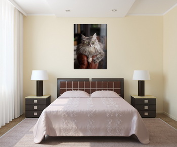 Модульная картина Кошка Дымка