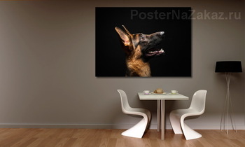 Модульная картина Немецкая овчарка