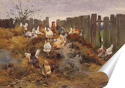   Постер Курицы во дворе