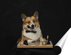   Постер шахматист