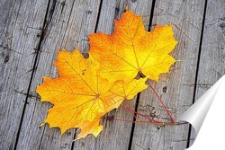   Постер Осенние кленовые листья