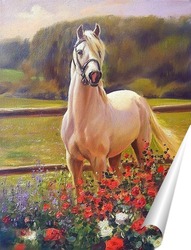   Постер Белый конь 