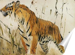  Тигрица