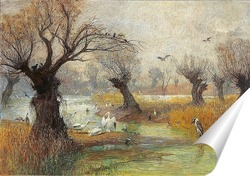  Постер Пеликаны на берегу реки