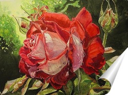   Постер Роза с капельками утренней росы