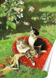   Постер Три кота в шляпе