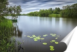  Рейнский водопад