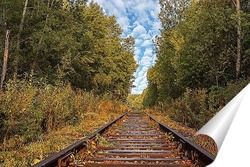  Деревянная дорожка, в осеннем парке