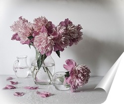  Время розовых хризантем