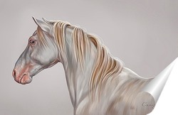   Постер Белый конь