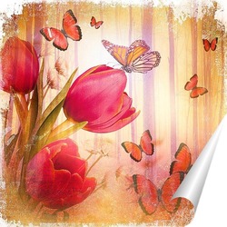   Постер Тюльпаны и бабочки