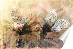   Постер Три бабочки