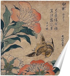   Постер Шокуаку кана ари