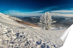  Сибирская Зима