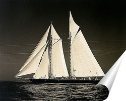  sailer-003