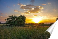  Field and forest at sunset. Tree silhouettes close-up. Evening fog, twilight sky, moonlight. Dark spring landscape. Pastoral rural scene. Nature, seasons, ecology, weather. Panoramic view, copy space