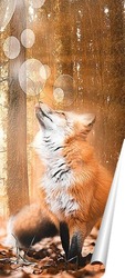  Рыжая лисица