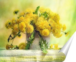  Ромашки