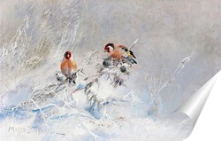   Постер Птицы на зимней ветке