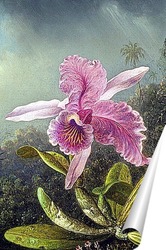   Постер Орхидея (часть картины)