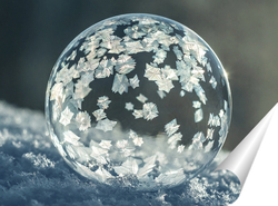  Замёрзший мыльный пузырь на снегу