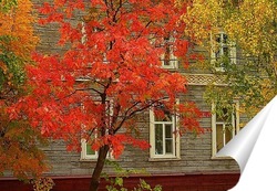  Осень в Асеевском парке