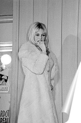   Постер Brigitte Bardot-15