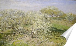   Постер Весна (цветение фруктовых деревьев)