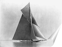  sailer-003