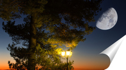  Ночной пейзаж с полной луной